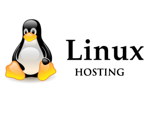 Linux Plans For Personal or Small Businesses starts $0.95/Mo